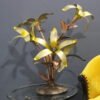Attractive Metal Decorative Flower With LED | Amazing Flower Decor for your Home & Office Decor