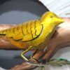 Exclusive Metal White Wall Art | Bird Wall Decor to Enhance the Look of your Home